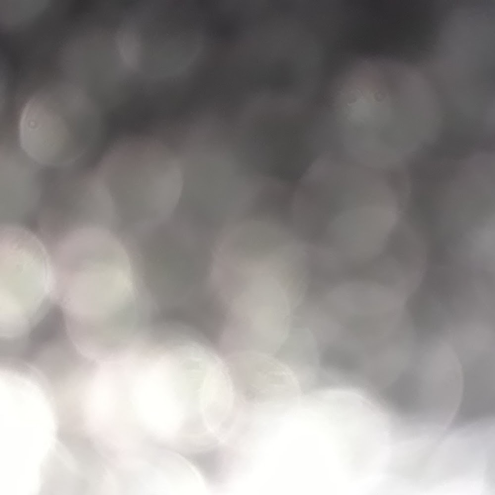 Meet your Posher, Shawntel